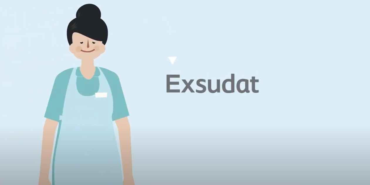 Was ist Exsudat und wie überprüft man Exsudatansammlungen?