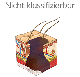 Nicht klassifizierbar215x259.png